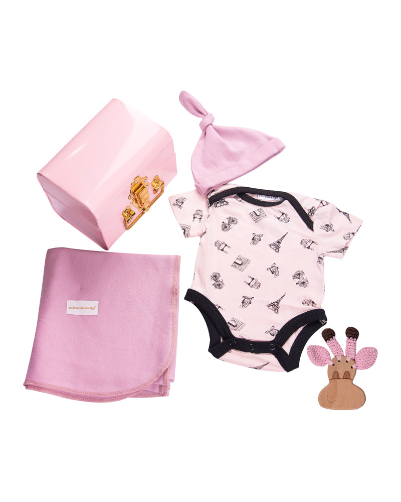Baby Girl Assortment Gift Basket Set Newborn Infant Great for Baby Shower  Birth | eBay